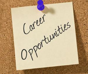 career-opportunities