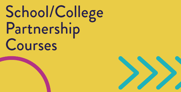school partnership screenshot