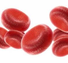 Cells